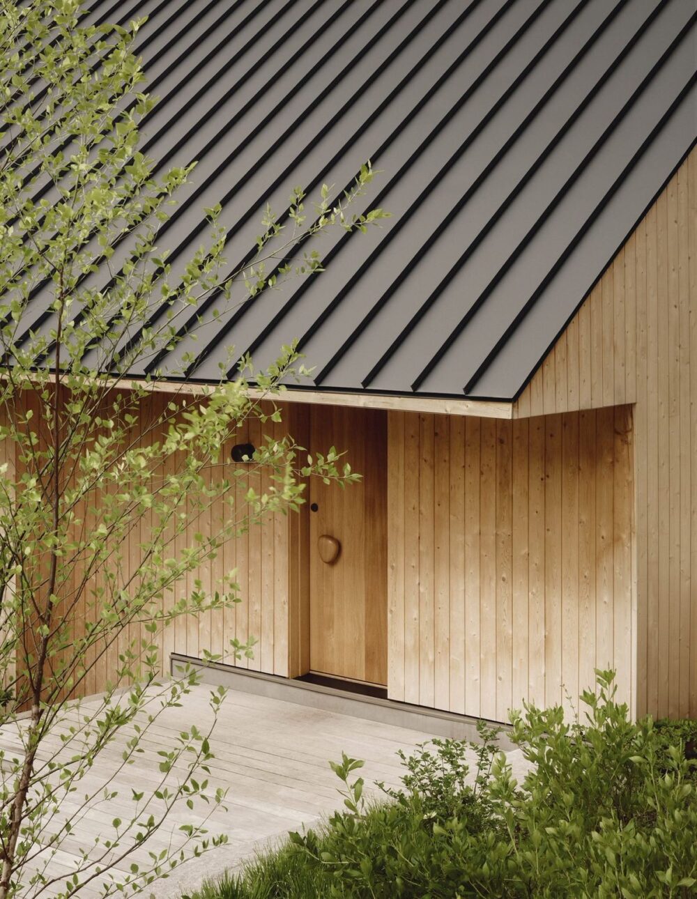 Deska elewacyjna świerk faza 19x146 mm