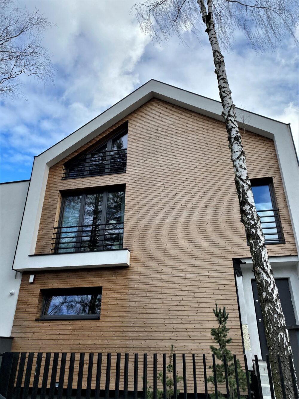 Deska elewacyjna Thermo sosna 20x65 mm C7J grad romb