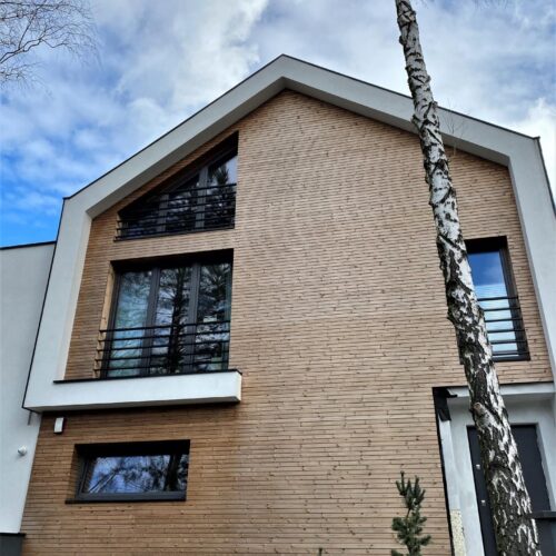 Deska elewacyjna Thermo sosna 20x65 mm C7J grad romb