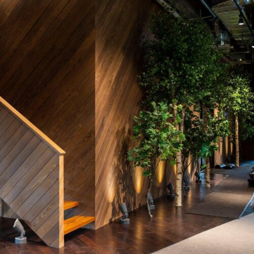 Deska elewacyjna Thermo jesion Faza C6 20x132